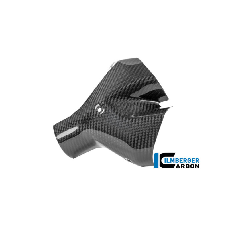 Kit de protections thermiques d'échappement carbone pour BMW R 1300 R & RS | Ilmberger Carbon