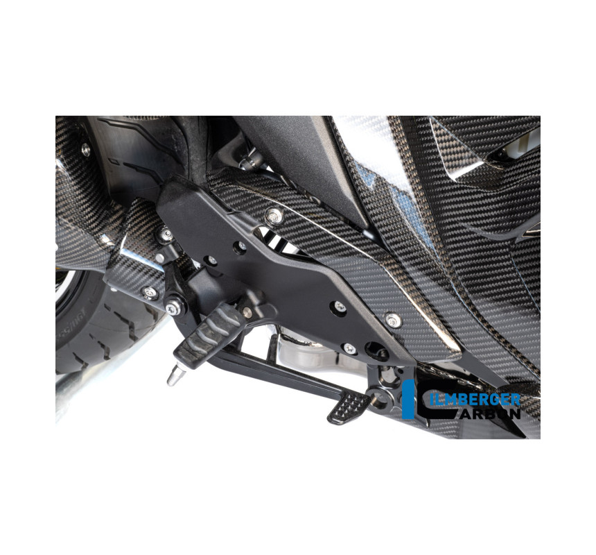 Protection thermique de collecteur carbone pour R 1300 R & RS
