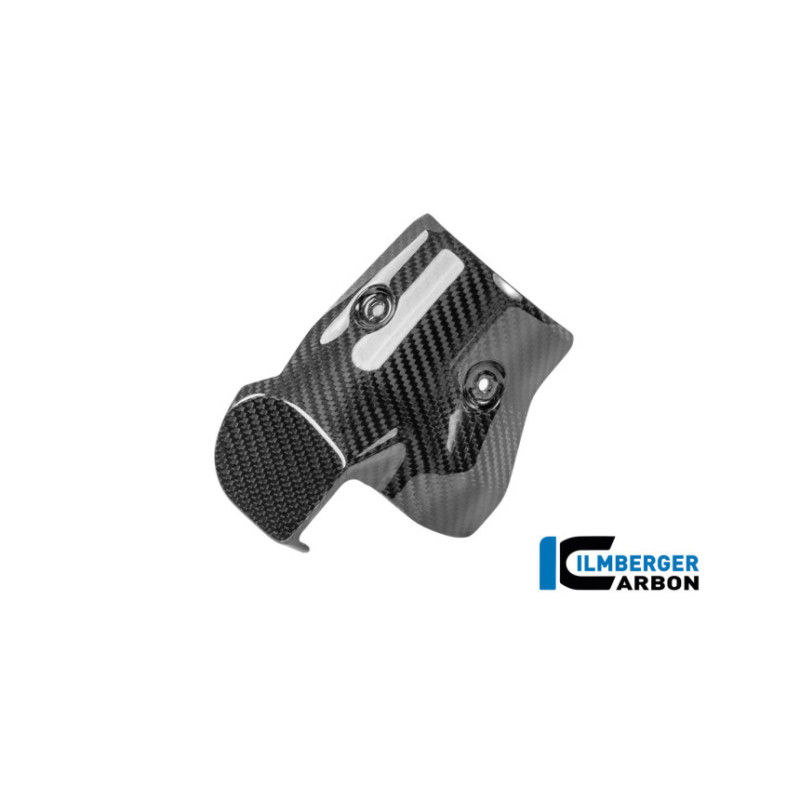 Protection thermique de collecteur carbone pour BMW R 1300 R & RS | Ilmberger Carbon