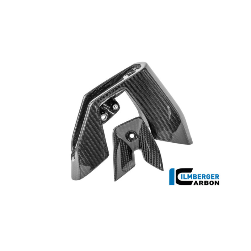 Kit d'embouts d'échappement carbone pour BMW R 1300 R & RS | Ilmberger Carbon