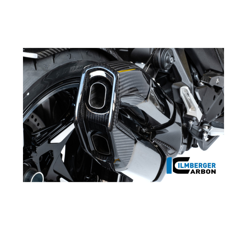 Kit d'embouts d'échappement carbone pour R 1300 R & RS