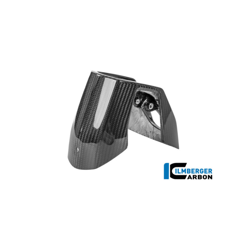 Kit d'embouts d'échappement carbone pour BMW R 1300 R & RS | Ilmberger Carbon