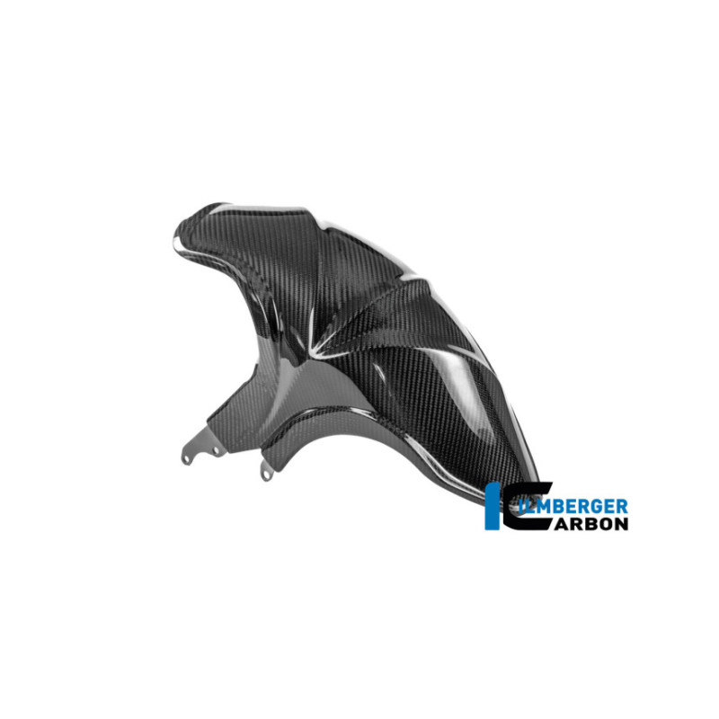 Garde-boue arrière carbone pour BMW R 1300 R & RS | Ilmberger Carbon