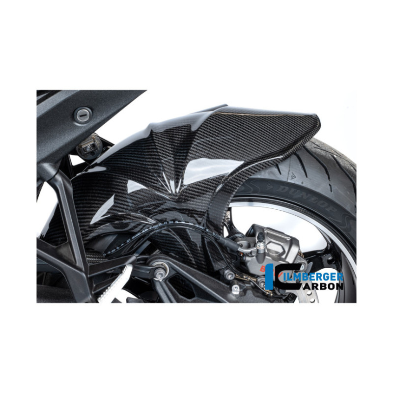 Garde-boue arrière carbone pour R 1300 R & RS