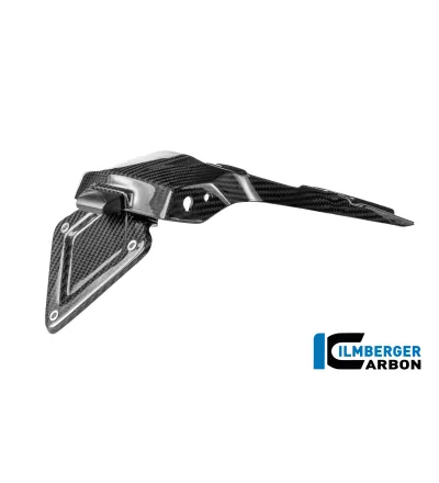 Support de plaque carbone pour BMW R 1300 R & RS | Ilmberger Carbon