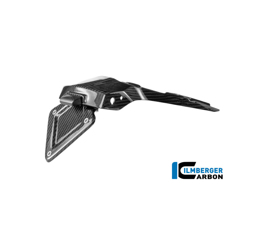 Support de plaque carbone pour BMW R 1300 R & RS | Ilmberger Carbon