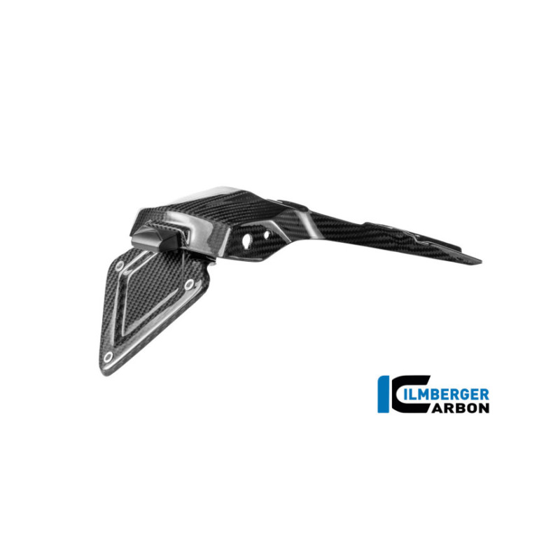 Support de plaque carbone pour BMW R 1300 R & RS | Ilmberger Carbon