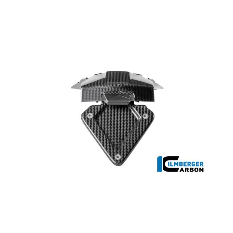 Support de plaque carbone pour BMW R 1300 R & RS | Ilmberger Carbon