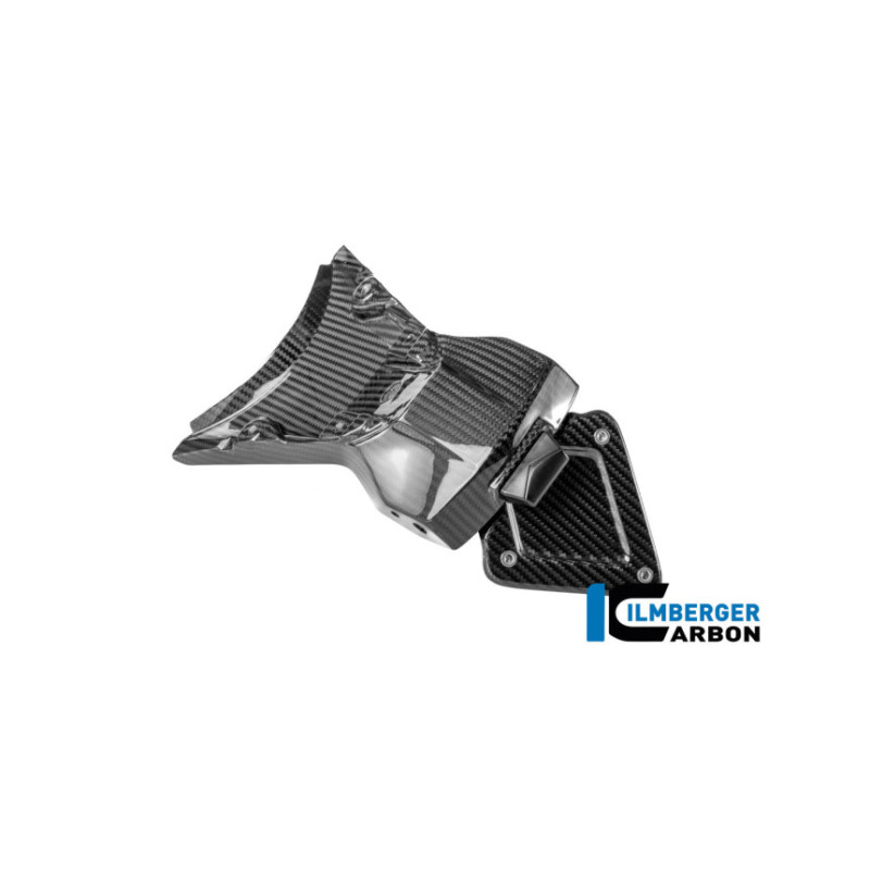 Support de plaque carbone pour BMW R 1300 R & RS | Ilmberger Carbon