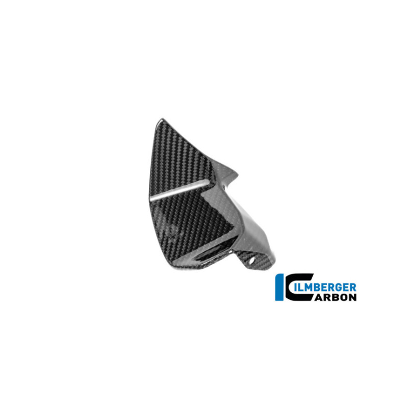 Cache de cockpit gauche carbone pour BMW R 1300 RS | Ilmberger Carbon