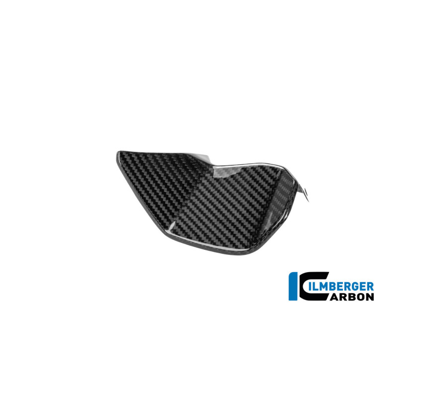 Cache de cockpit gauche carbone pour R 1300 RS