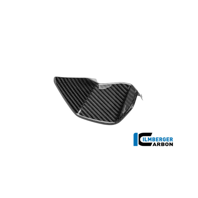 Cache de cockpit gauche carbone pour BMW R 1300 RS | Ilmberger Carbon