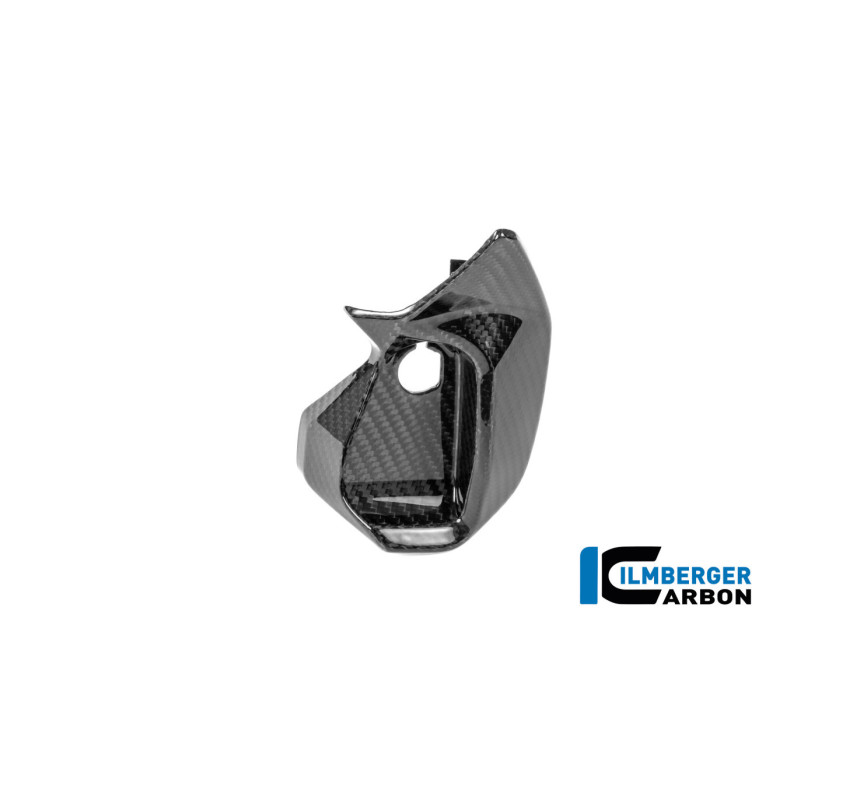 Cache de cockpit droit carbone pour R 1300 RS