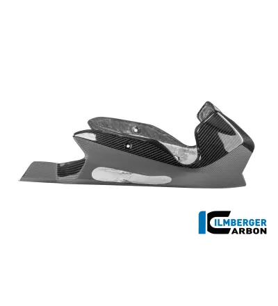 Sabot moteur carbone pour BMW R 1300 R & RS | Ilmberger Carbon