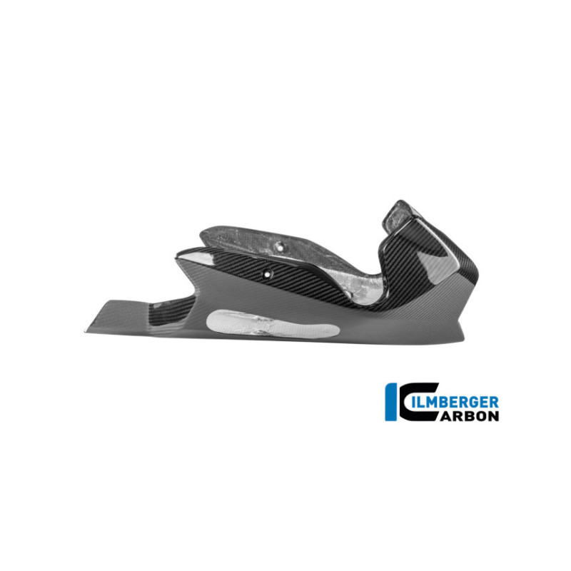 Sabot moteur carbone pour BMW R 1300 R & RS | Ilmberger Carbon