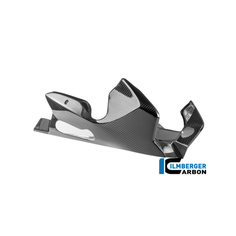 Sabot moteur carbone pour R 1300 R & RS