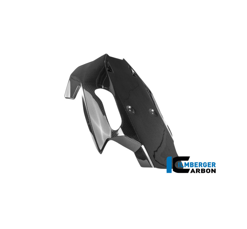 Sabot moteur carbone pour R 1300 R & RS