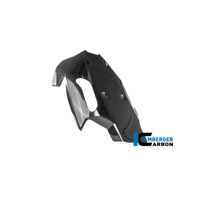 Sabot moteur carbone pour R 1300 R & RS