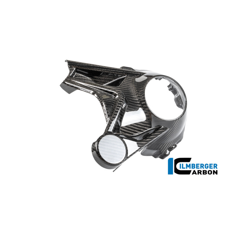 Cache de carter de cardan carbone pour BMW R 1300 R & RS | Ilmberger Carbon