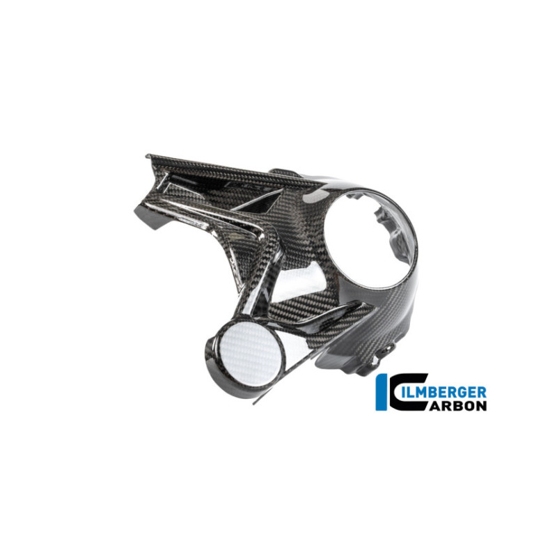 Cache de carter de cardan carbone pour BMW R 1300 R & RS | Ilmberger Carbon