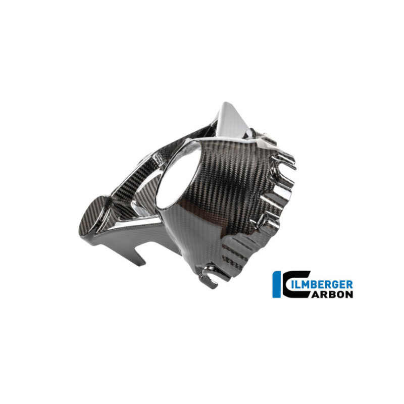 Cache de carter de cardan carbone pour R 1300 R & RS