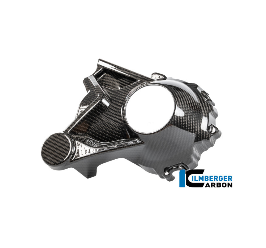 Cache de carter de cardan carbone pour R 1300 R & RS