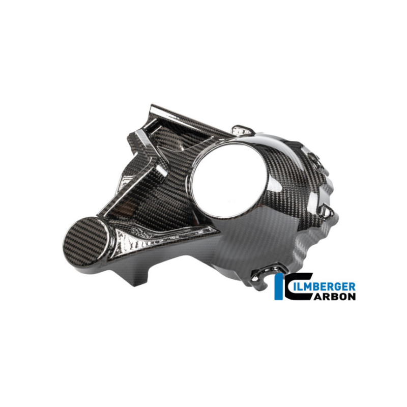 Cache de carter de cardan carbone pour R 1300 R & RS