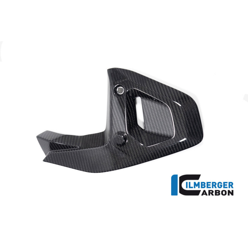 Cache de triangle de cadre gauche carbone pour BMW R 1300 | Ilmberger Carbon