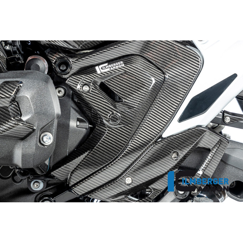 Cache de triangle de cadre gauche carbone pour BMW R 1300 | Ilmberger Carbon