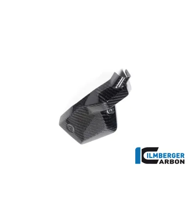 Cache d'injecteur gauche carbone pour BMW R 1300 | Ilmberger Carbon