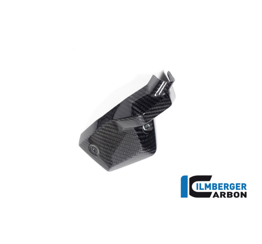 Cache d'injecteur gauche carbone pour BMW R 1300 | Ilmberger Carbon
