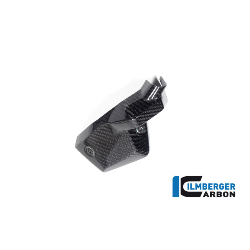 Cache d'injecteur gauche carbone pour BMW R 1300 | Ilmberger Carbon