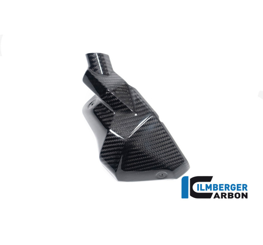 Cache d'injecteur gauche carbone pour R 1300
