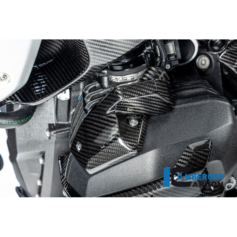 Cache d'injecteur gauche carbone pour R 1300