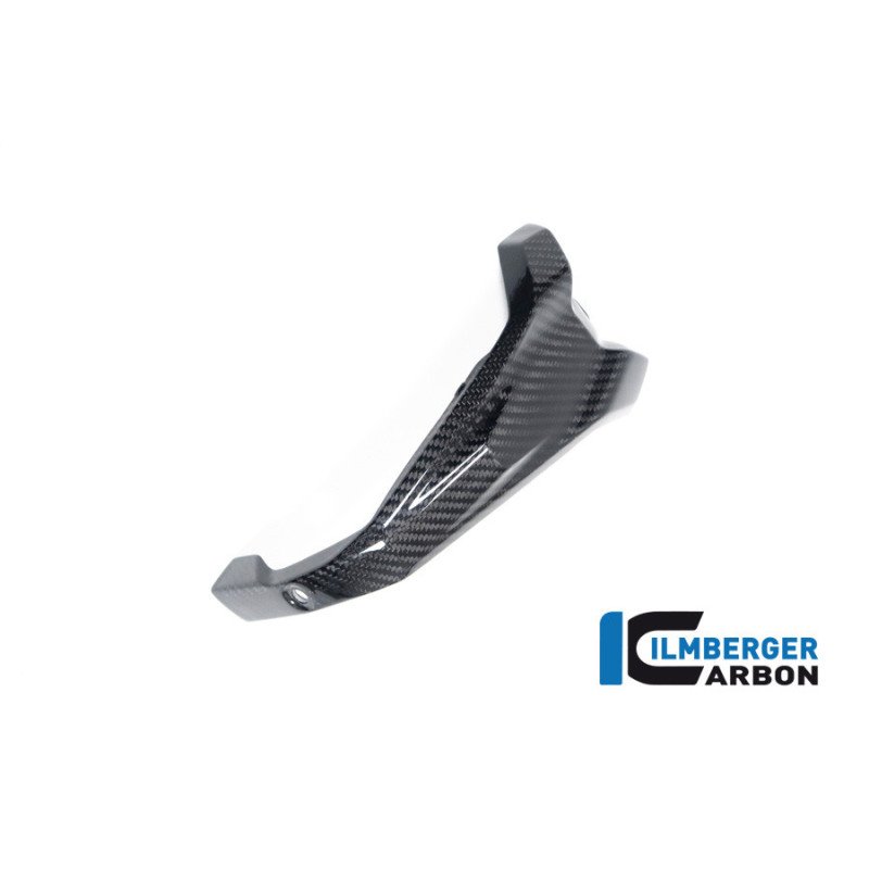Couvercle de bobines d'allumage gauche carbone pour BMW R 1300 | Ilmberger Carbon