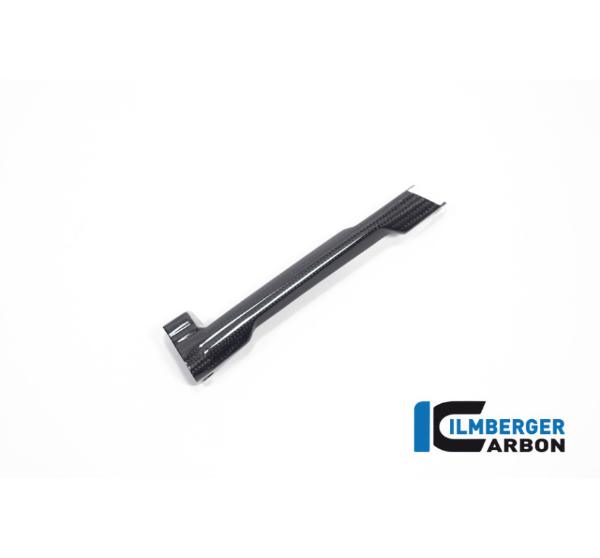 Cache de durite de frein carbone pour BMW R 1300 | Ilmberger Carbon