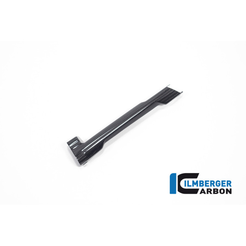 Cache de durite de frein carbone pour BMW R 1300 | Ilmberger Carbon