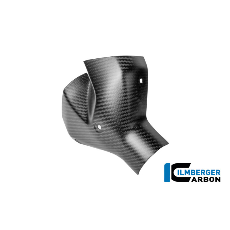 Kit de protections thermiques d'échappement carbone pour BMW R 1300 R & RS | Ilmberger Carbon