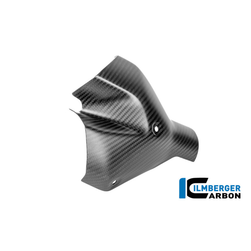Kit de protections thermiques d'échappement carbone pour BMW R 1300 R & RS | Ilmberger Carbon