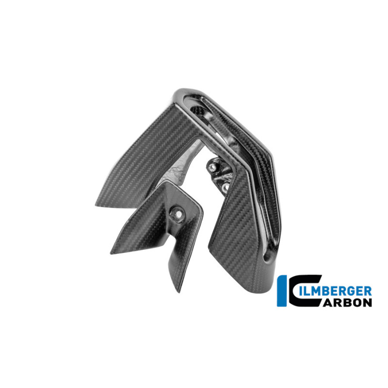 Kit d'embouts d'échappement carbone pour R 1300 R & RS