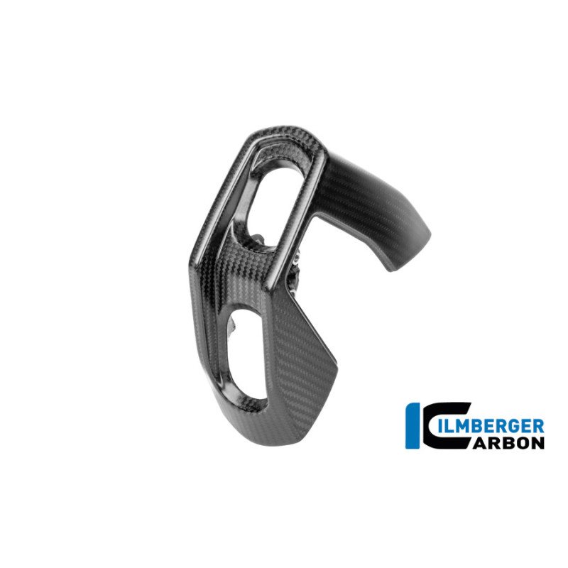 Kit d'embouts d'échappement carbone pour BMW R 1300 R & RS | Ilmberger Carbon