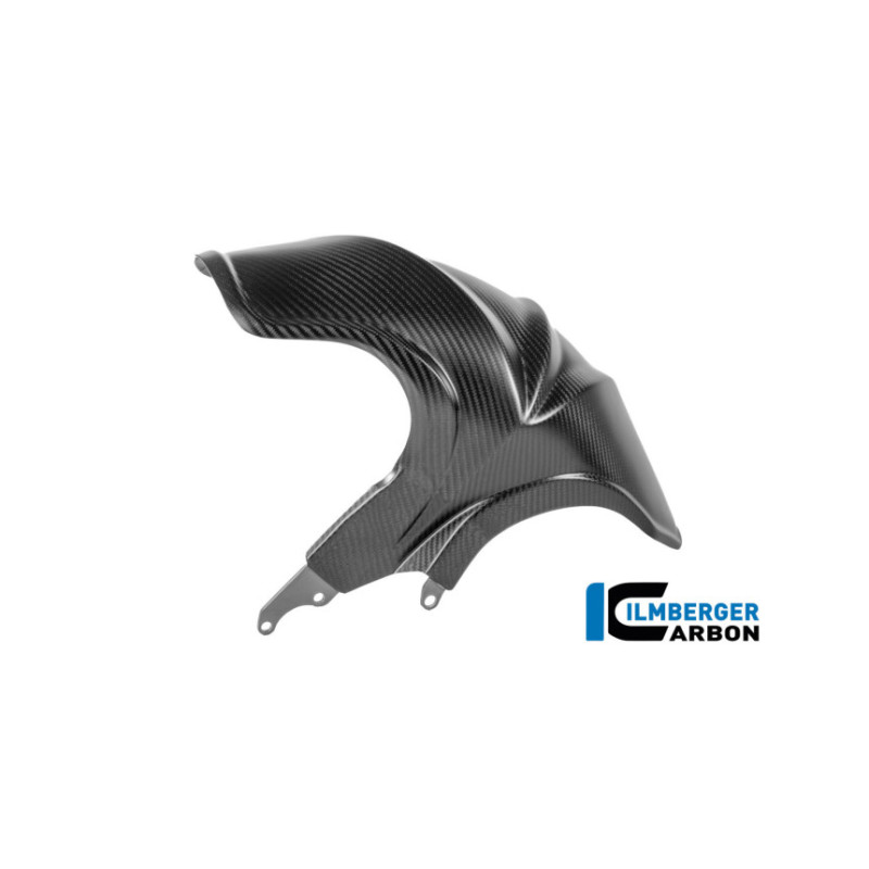 Garde-boue arrière carbone pour BMW R 1300 R & RS | Ilmberger Carbon