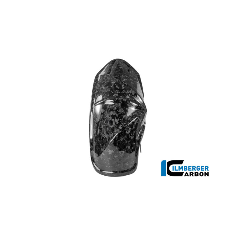 Garde-boue arrière carbone pour R 1300 R & RS