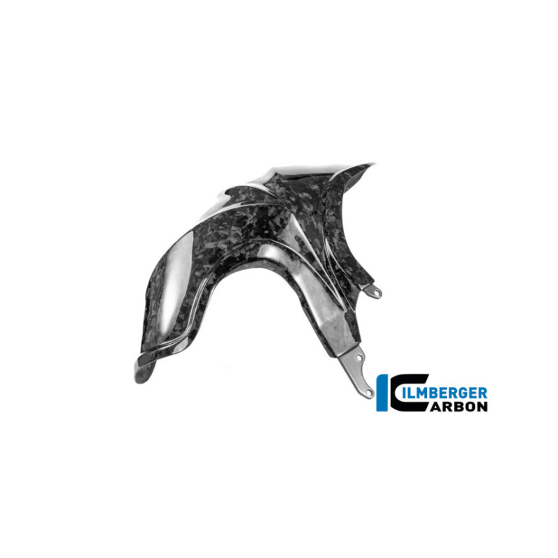 Garde-boue arrière carbone pour R 1300 R & RS