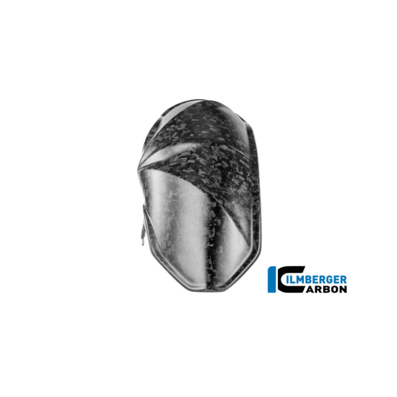 Garde-boue arrière carbone pour R 1300 R & RS