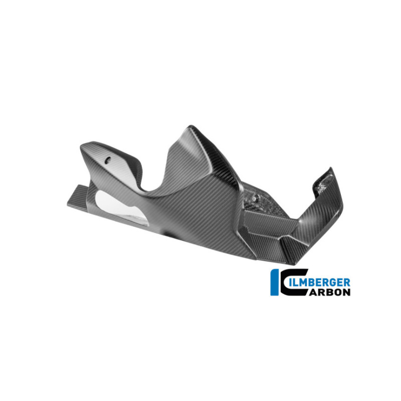 Sabot moteur carbone pour BMW R 1300 R & RS | Ilmberger Carbon