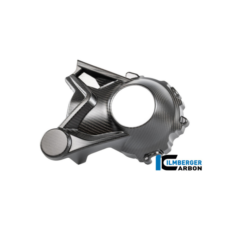 Cache de carter de cardan carbone pour BMW R 1300 R & RS | Ilmberger Carbon