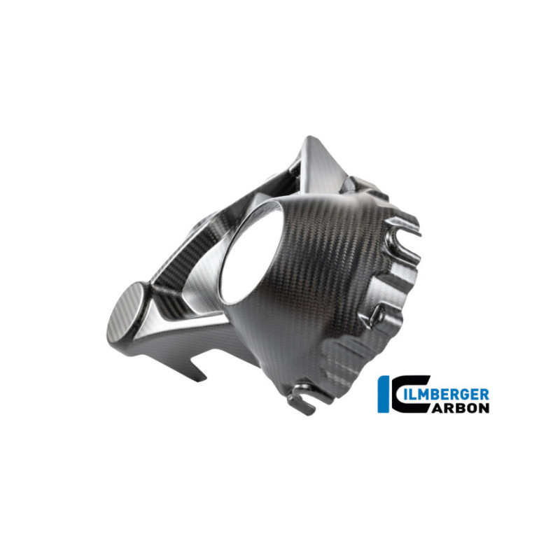 Cache de carter de cardan carbone pour BMW R 1300 R & RS | Ilmberger Carbon