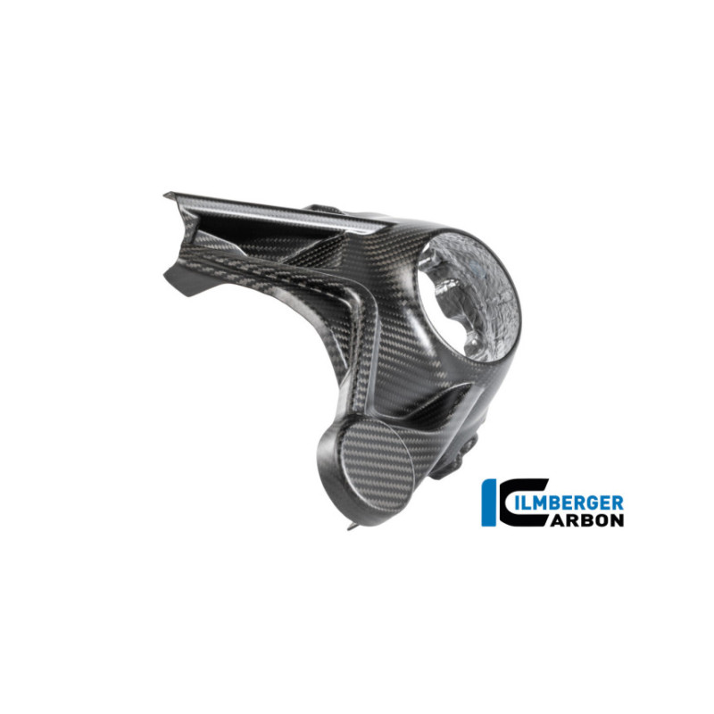 Cache de carter de cardan carbone pour BMW R 1300 R & RS | Ilmberger Carbon