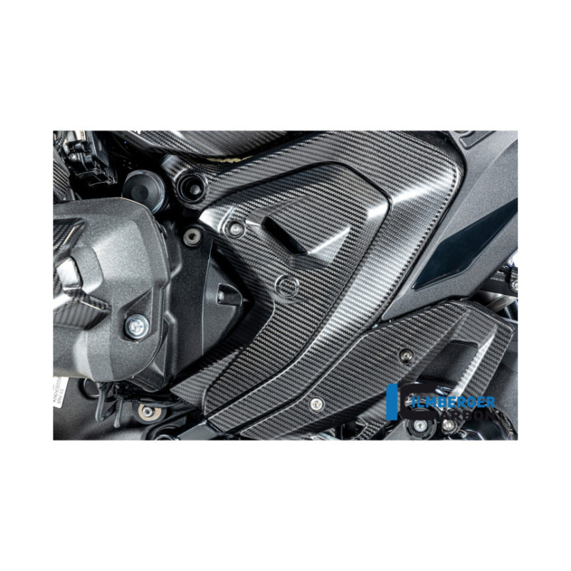 Cache de triangle de cadre gauche carbone pour BMW R 1300 | Ilmberger Carbon
